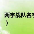 两字战队名字大全四个字（两字战队名字大全）