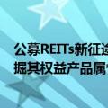 公募REITs新征途：社保基金或试水指数化产品 各路资本挖掘其权益产品属性