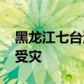黑龙江七台河市强降雨致6000余公顷农作物受灾