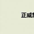 正威集团等被强制执行2.3亿