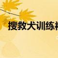 搜救犬训练被卡井盖&#32;表情尴尬