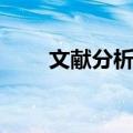 文献分析法英文翻译（文献分析法）