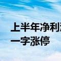 上半年净利润预增1068%-1402% 凯中精密一字涨停