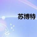 苏博特：实际控制人增持25万股