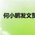 何小鹏发文赞扬特斯拉FSD：路况处理丝滑