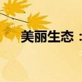 美丽生态：控股股东股份新增轮候冻结