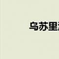 乌苏里江发生2024年第1号洪水