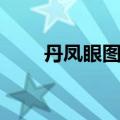 丹凤眼图片大全大图（丹凤眼图片）