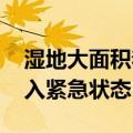 湿地大面积着火 巴西南马托格罗索州宣布进入紧急状态