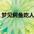 梦见鳄鱼吃人我在旁边看着（梦见鳄鱼吃人）