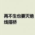 再不生也要灭绝！日本官方推AI约会App：帮助单身男女牵线搭桥