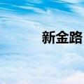 新金路：董事总裁增持公司股份