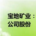 宝地矿业：股东海益投资拟减持不超3.00%公司股份