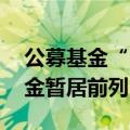 公募基金“中考”成绩单发布在即，QDII基金暂居前列