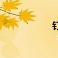 钉钉宣布底模型开放