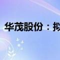 华茂股份：拟回购股份4800万元-9600万元