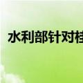 水利部针对桂渝启动洪水防御Ⅳ级应急响应