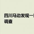 四川马边发现一巨型乌木：老板称是买的，相关部门已暂扣调查