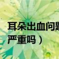 耳朵出血问题严重吗怎么治疗（耳朵出血问题严重吗）