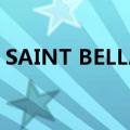 SAINT BELLA Inc.向港交所提交上市申请书