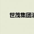 世茂集团清盘呈请聆讯押后至7月31日