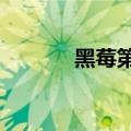 黑莓第一财季营收1.44亿美元