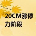 20CM涨停！乐鑫科技回应：次新产品进入主力阶段