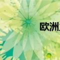 欧洲主要股指开盘涨跌不一