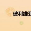 玻利维亚民众上街声援总统阿尔塞