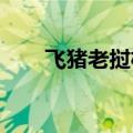 飞猪老挝机票搜索量环比增长近一倍