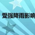 受强降雨影响 重庆火车站今日停运列车65趟