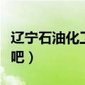 辽宁石油化工大学吧打架（辽宁石油化工大学吧）