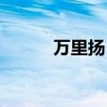 万里扬：义乌储能项目顺利并网