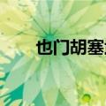 也门胡塞武装称袭击一艘以色列船只