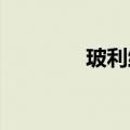 玻利维亚总统更换陆军司令