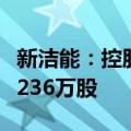 新洁能：控股股东一致行动人及董监高拟减持236万股