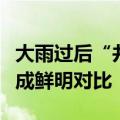 大雨过后“井水不犯河水”照进现实：水质形成鲜明对比