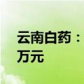 云南白药：引进KA-1641项目，首付款600万元