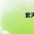 紫天科技：董事郭敏辞职