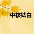 中核钛白：出资5亿元设立全资子公司