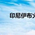 印尼伊布火山喷发 火山灰柱达7000米