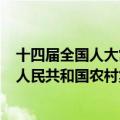 十四届全国人大常委会第十次会议6月28日表决通过《中华人民共和国农村集体经济组织法》