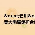 "云川""鑫宝"抵美开启新一轮中美大熊猫保护合作
