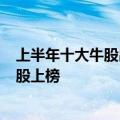 上半年十大牛股出炉：正丹股份涨逾3倍 多只低空经济概念股上榜