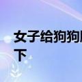 女子给狗狗脚擦药&#32;突然被亲了一下