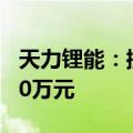 天力锂能：控股股东非经营性资金占用达6600万元