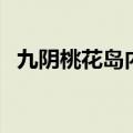 九阴桃花岛内功打架怎么样（九阴桃花岛）