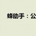 蜂助手：公司业务暂未使用OpenAI服务