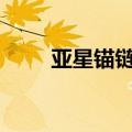 亚星锚链：3000万元购买理财产品