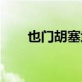 也门胡塞武装称袭击以色列重要目标
